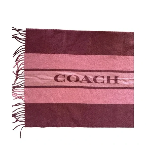 NWT Coach Wool Varsity Stripe Oversized Muffler Scarf F76388 Wine Pink Fringe - Picture 2 of 10